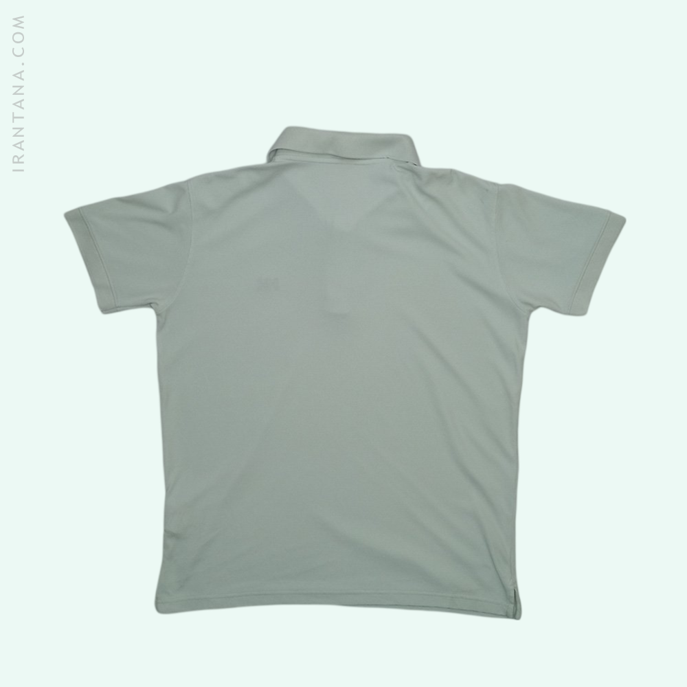 پولوشرت مردانه نروژی هلی هانسن HELLY HANSEN